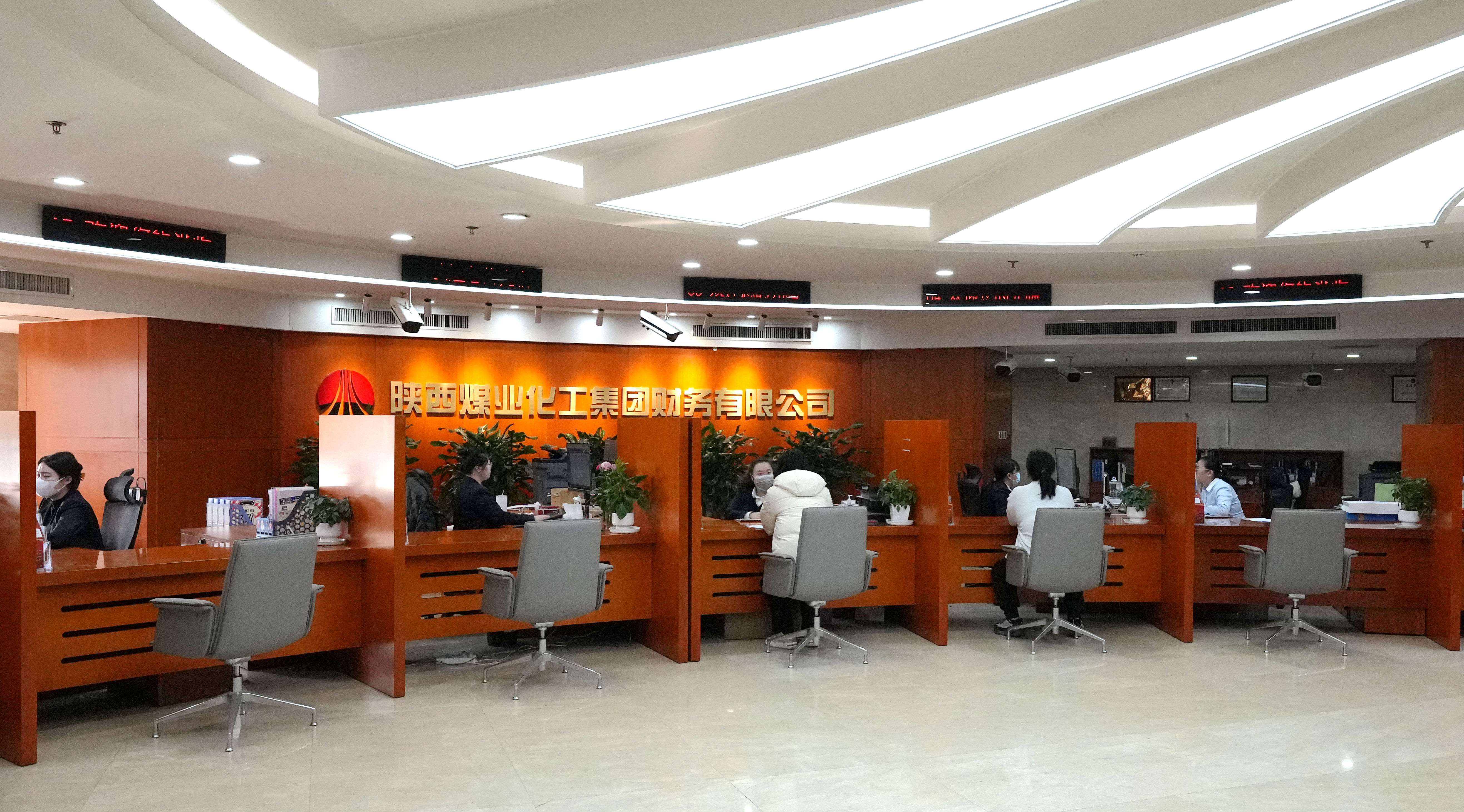 1736385233481868.jpeg DSC00981_副本_副本.jpg